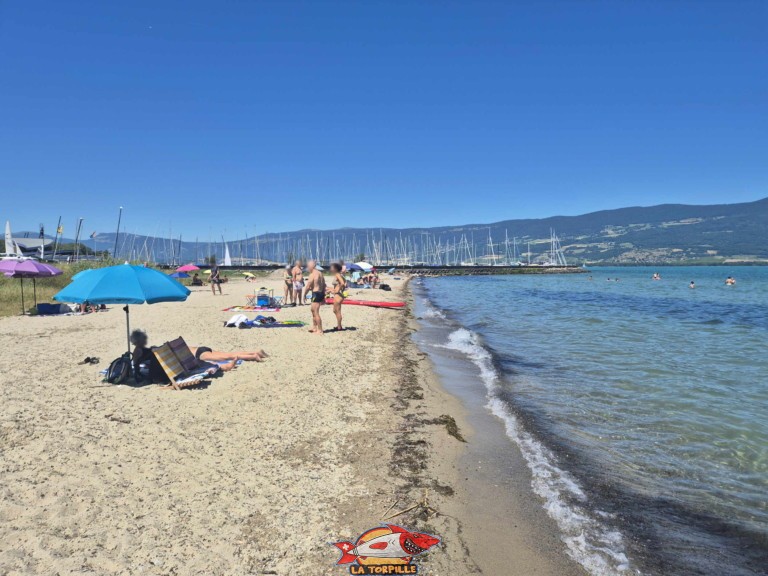 20250629 120658 plage port yvonand