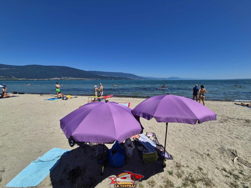 SAble, plage du port d'Yvonand. Lac de Neuchâtel, Canton de Vaud.
