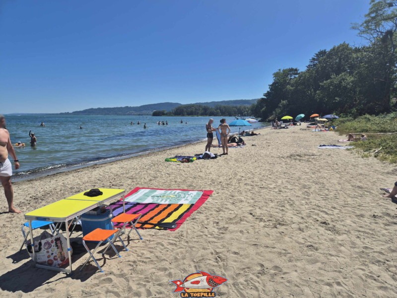 Vue sur la plage du port d'Yvonand. Lac de Neuchâtel, canton de Vaud.