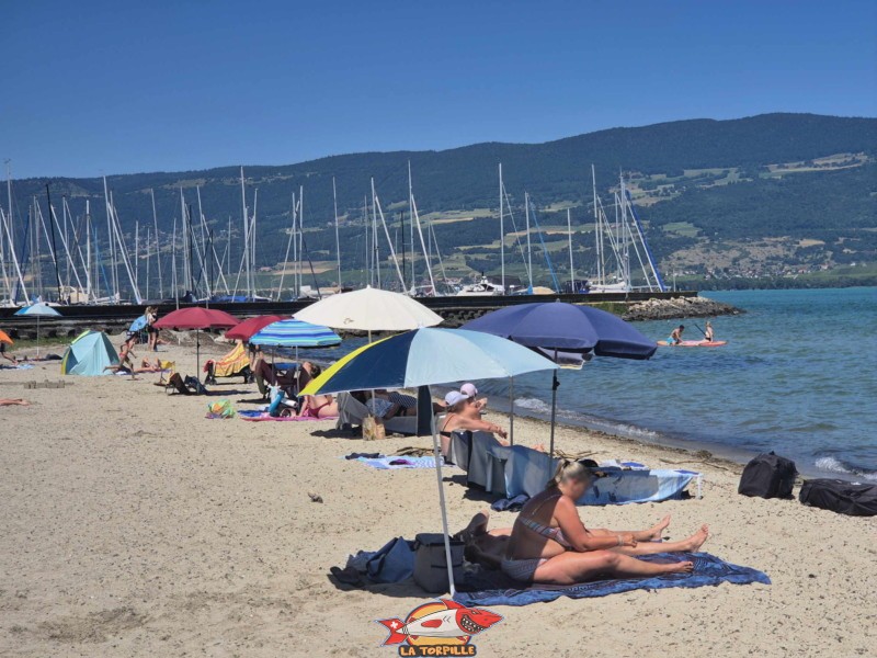 Vue sur la plage du port d'Yvonand. Lac de Neuchâtel, canton de Vaud.