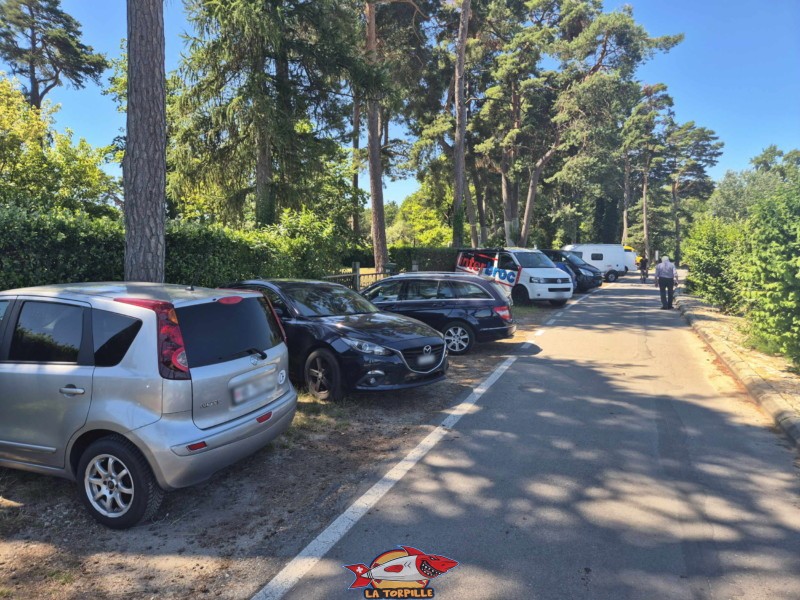 Des places de parking gratuites sont disponibles le long de la route du bord du lac, l'avenue des Pins. Plage du port d'Yvonand. Lac de Neuchâtel, Canton de Vaud.