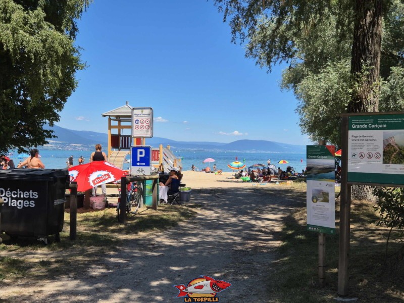 Entrée. Plage de Goncerut, Yvonand.