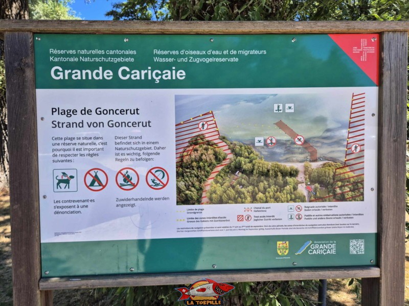 Un plan de la plage de Goncerut avec de les zone de la Grande Cariçaie interdites d'accès ainsi que la zone réservée à la baignade.