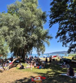 🏖️ Plage de Goncerut – Yvonand