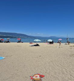 🏖️ Plage de Goncerut – Yvonand