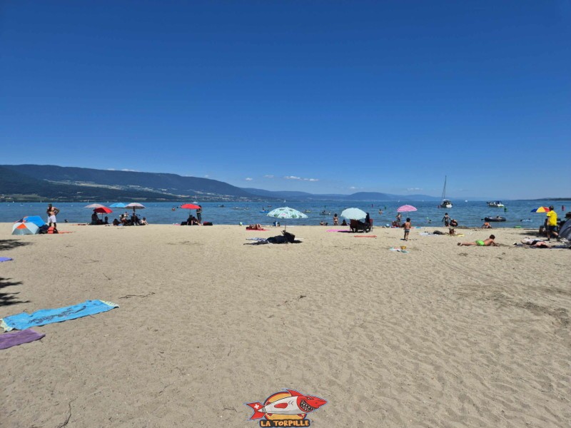partie centrale de la plage de Goncerut. Yvonand.