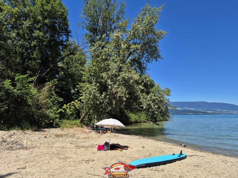 partie nord-ouest de la plage de Goncerut.