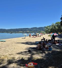 🏖️ Plage de Goncerut – Yvonand