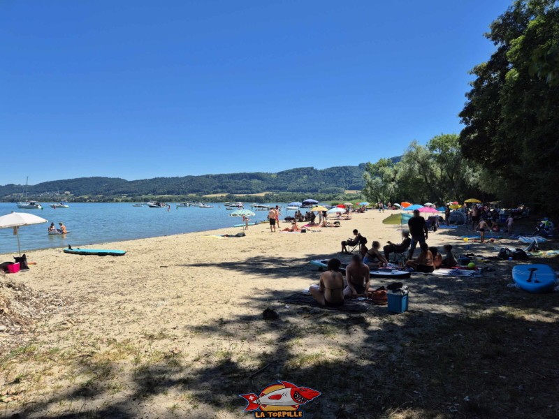 partie centrale de la plage de Goncerut. Yvonand.
