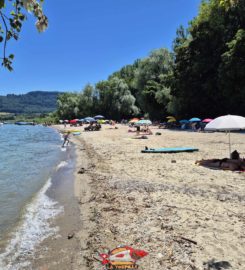 🏖️ Plage de Goncerut – Yvonand