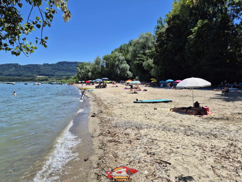 partie nord-ouest de la plage de Goncerut.
