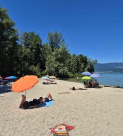 🏖️ Plage de Goncerut – Yvonand