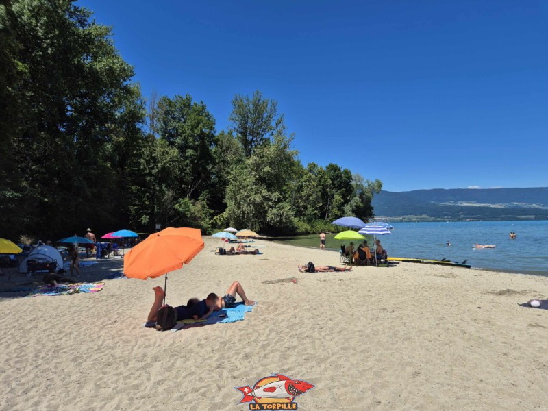 partie centrale de la plage de Goncerut. Yvonand.