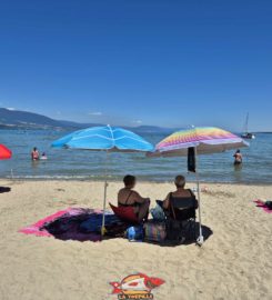 🏖️ Plage de Goncerut – Yvonand