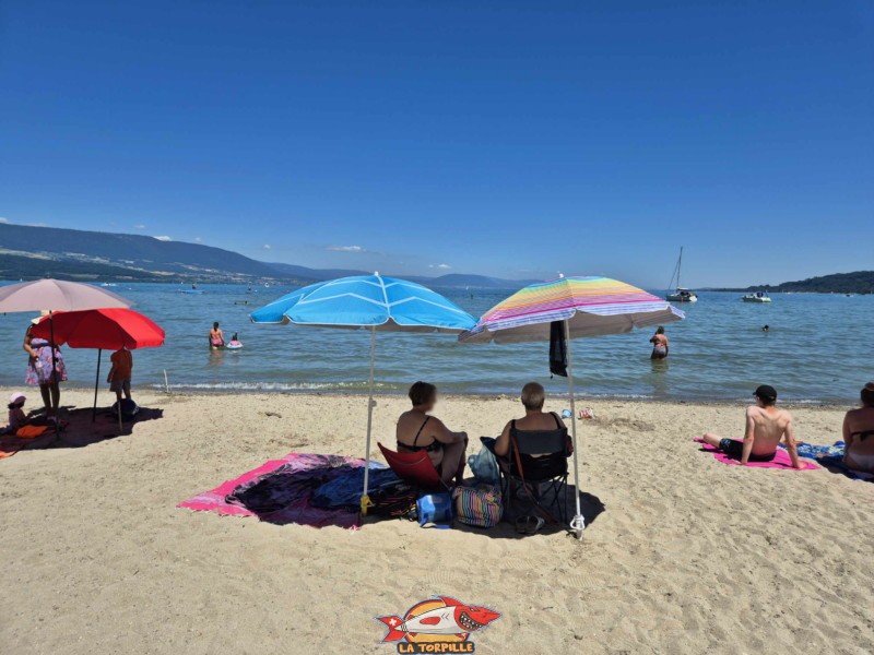 bord de l'eau de la plage de Goncerut.