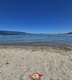 🏖️ Plage de Goncerut – Yvonand