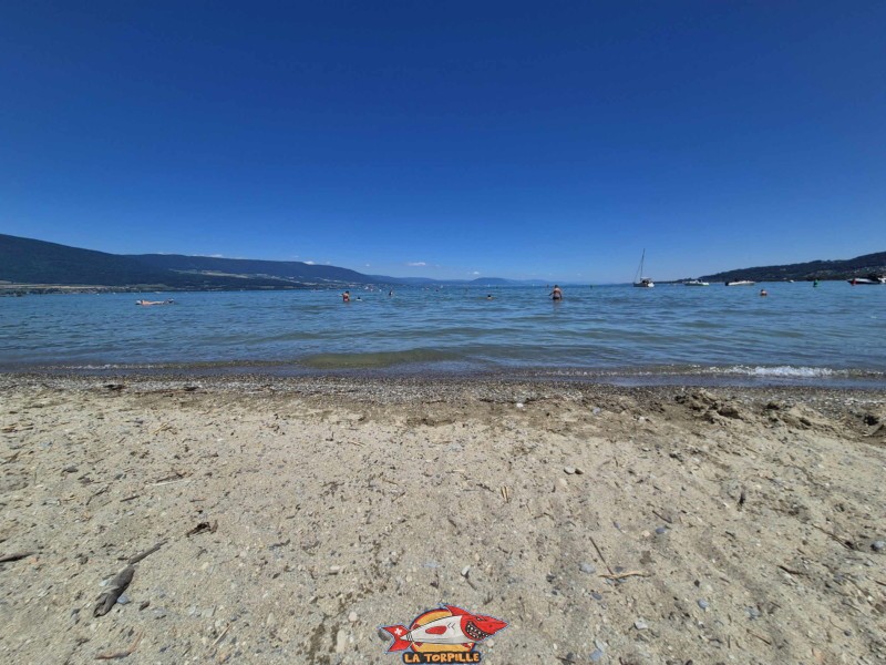 bord de l'eau de la plage de Goncerut.