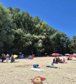 🏖️ Plage de Goncerut – Yvonand