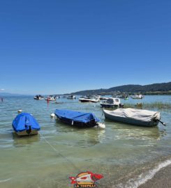 🏖️ Plage de Goncerut – Yvonand