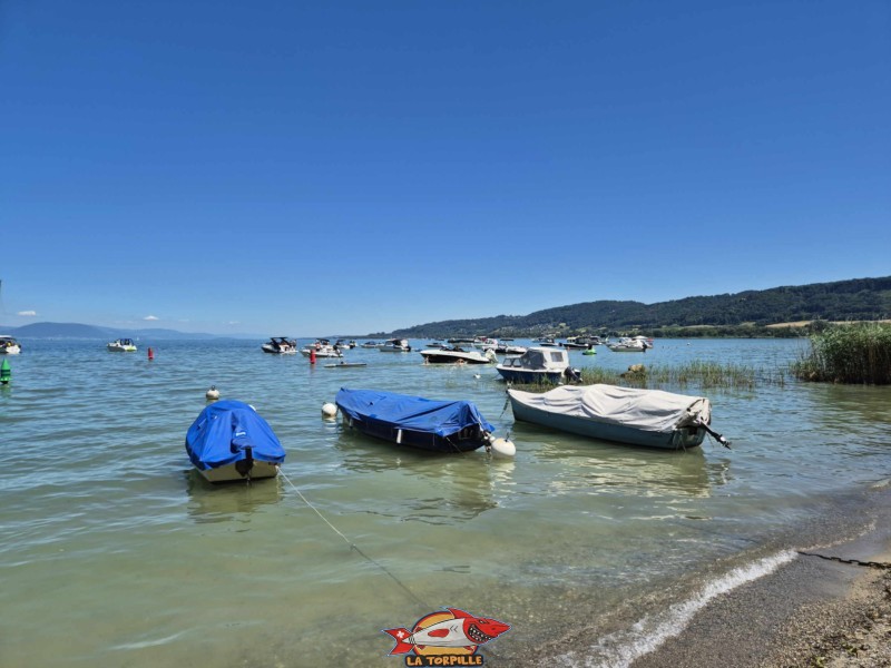 La zone réservée aux bateaux. Plage de Goncerut, Yvonand.
