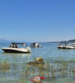 🏖️ Plage de Goncerut – Yvonand