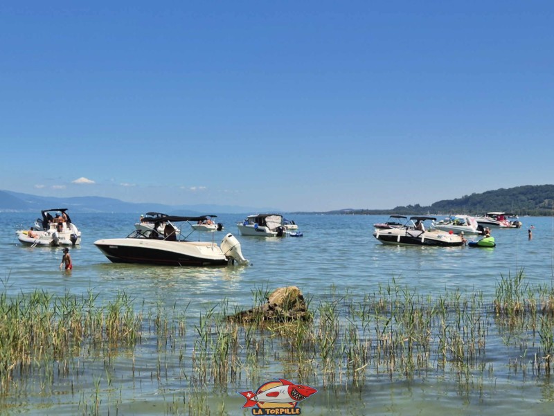 La zone réservée aux bateaux. Plage de Goncerut, Yvonand.