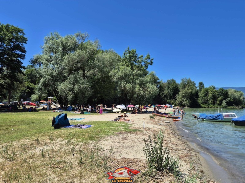 partie sud-est de la plage de Goncerut. yvonand