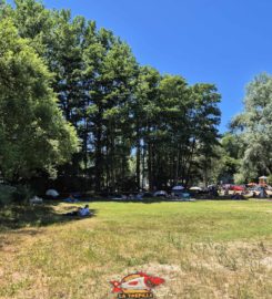 🏖️ Plage de Goncerut – Yvonand