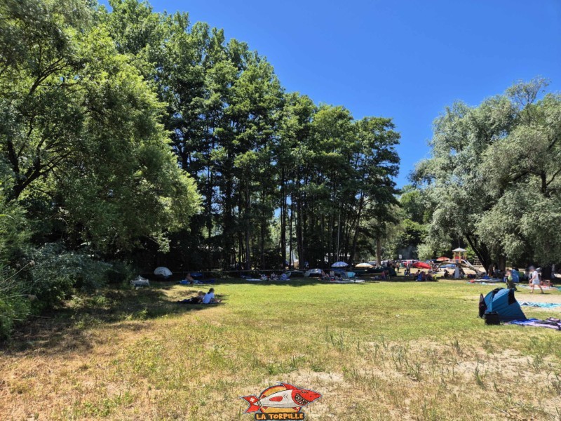 Une zone herbeuse se trouve au sud de la plage. Plage de Goncerut, Yvonand.
