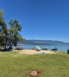 🏖️ Plage de Goncerut – Yvonand
