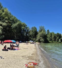 🏖️ Plage de Goncerut – Yvonand