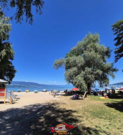 🏖️ Plage de Goncerut – Yvonand