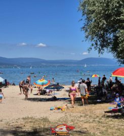 🏖️ Plage de Goncerut – Yvonand