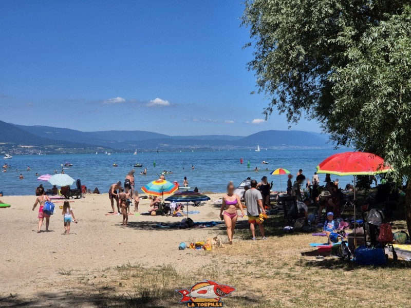 partie centrale de la plage de Goncerut. Yvonand.