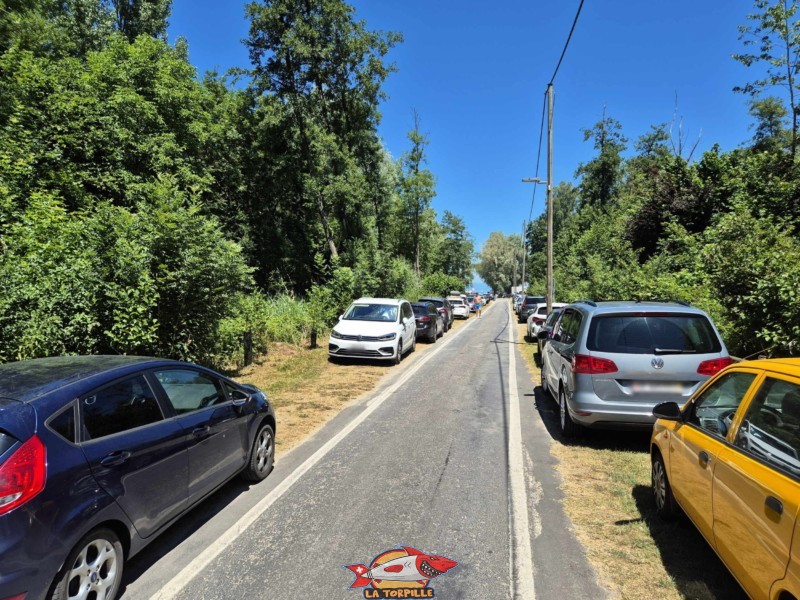 Les places de parking le long du chemin des Pêcheurs. Plage de Goncerut, Yvonand.