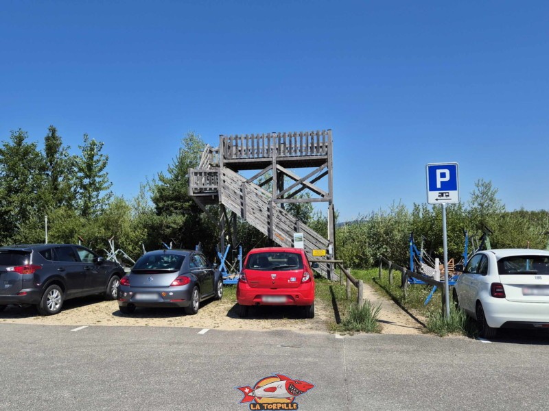 Tour paysagère de Chevroux, Grande Cariçaie.
