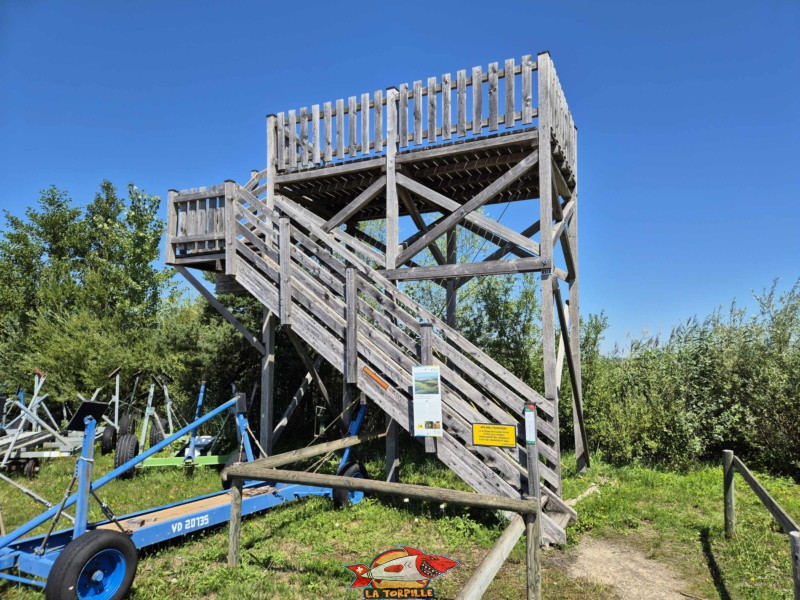 Tour paysagère de Chevroux, Grande Cariçaie.
