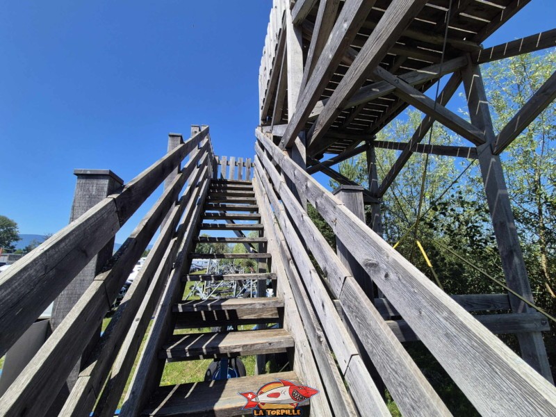 Tour paysagère de Chevroux, Grande Cariçaie.