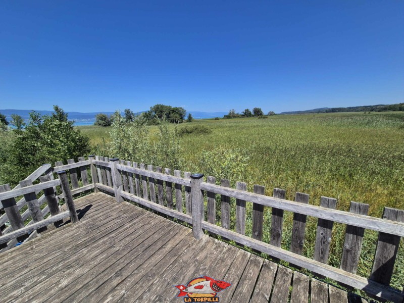 Tour paysagère de Chevroux, Grande Cariçaie. La vue direction nord-est depuis le somment de la tour paysagère. Tour paysagère de Chevroux, Grande Cariçaie. La vue direction nord-est depuis le somment de la tour paysagère.
