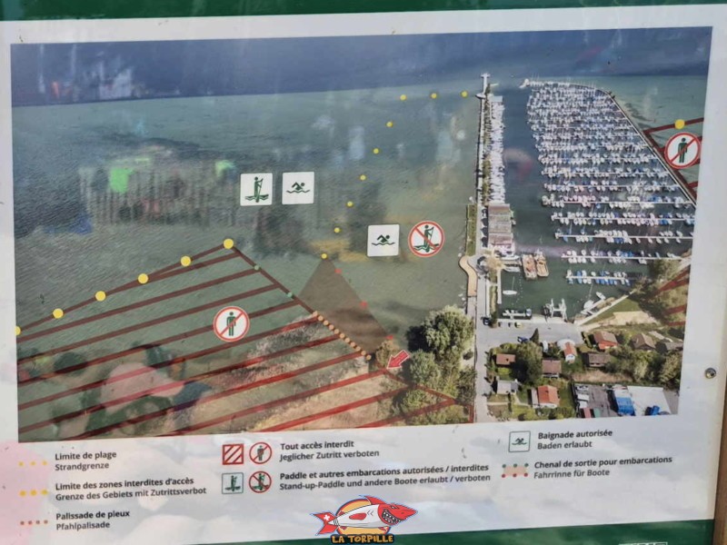Un plan de plage et du port de Chevroux avec les zones autorisées. Les bouées jaunes et rouges indiquent la zone réservée aux baigneurs. À gauche de cette zone, la zone réservée aux paddles. Un plan de plage et du port de Chevroux avec les zones autorisées. Les bouées jaunes et rouges indiquent la zone réservée aux baigneurs. À gauche de cette zone, la zone réservée aux paddles. Plage de Chevroux, lac de Neuchâtel, Canton de Vaud.
