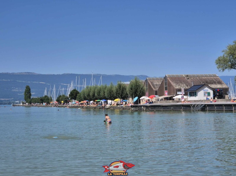 jetée du port. Plage de Chevroux, lac de Neuchâtel, Canton de Vaud.