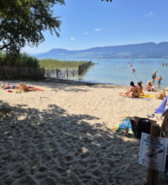 🏖️ Plage de Chevroux