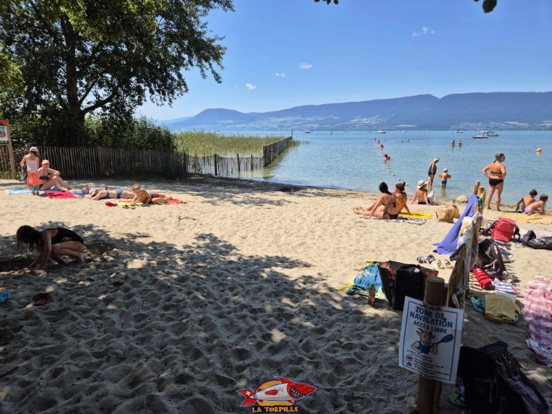 Zone paddle. Plage de Chevroux, lac de Neuchâtel, Canton de Vaud.