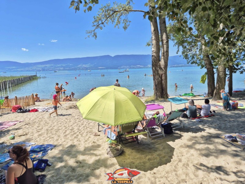 La plage de Chevroux au début de la jetée du port menant au débarcadère. Débarcadère de Chevroux, lac de Neuchâtel, Broye-Vully, canton de Vaud.