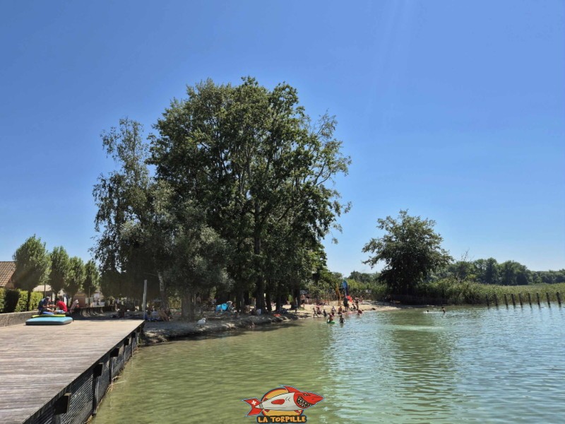 Deck. Plage de Chevroux, lac de Neuchâtel, Canton de Vaud.