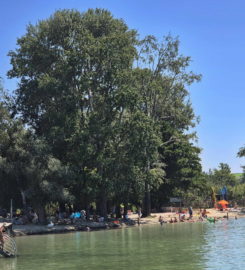 🏖️ Plage de Chevroux