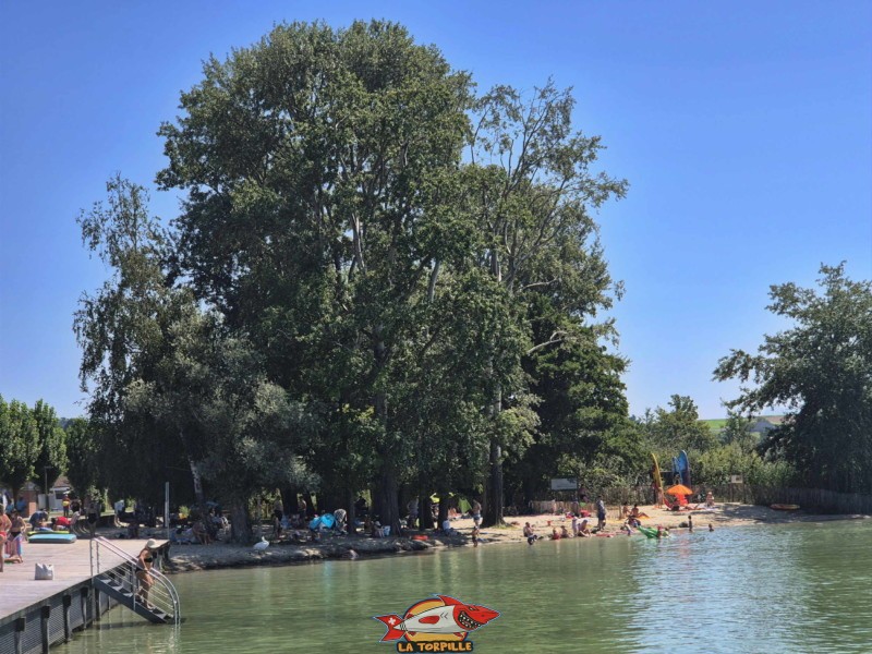 Zone de sable. Plage de Chevroux, lac de Neuchâtel, Canton de Vaud.