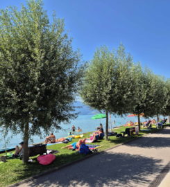 🏖️ Plage de Chevroux