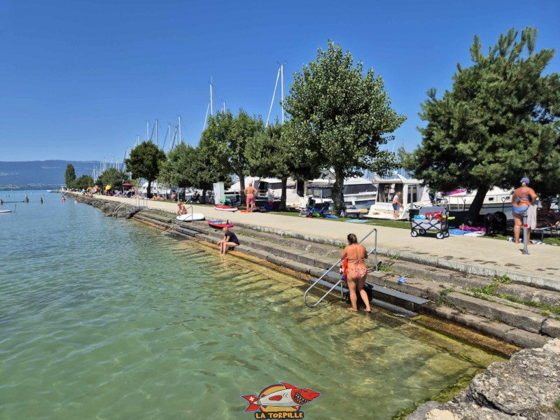 Escalier. Plage de Chevroux, lac de Neuchâtel, Canton de Vaud.