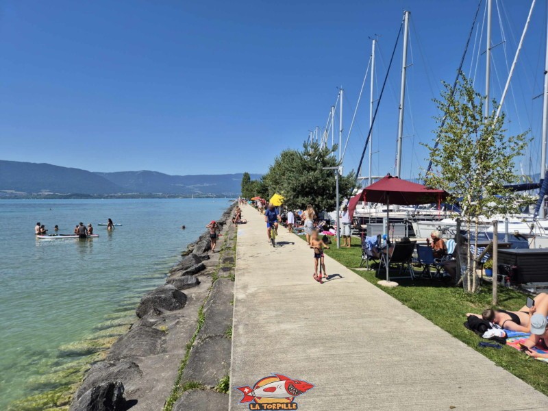 La jetée du port de Chevroux en direction du débarcadère. Débarcadère de Chevroux, lac de Neuchâtel, Broye-Vully, canton de Vaud.